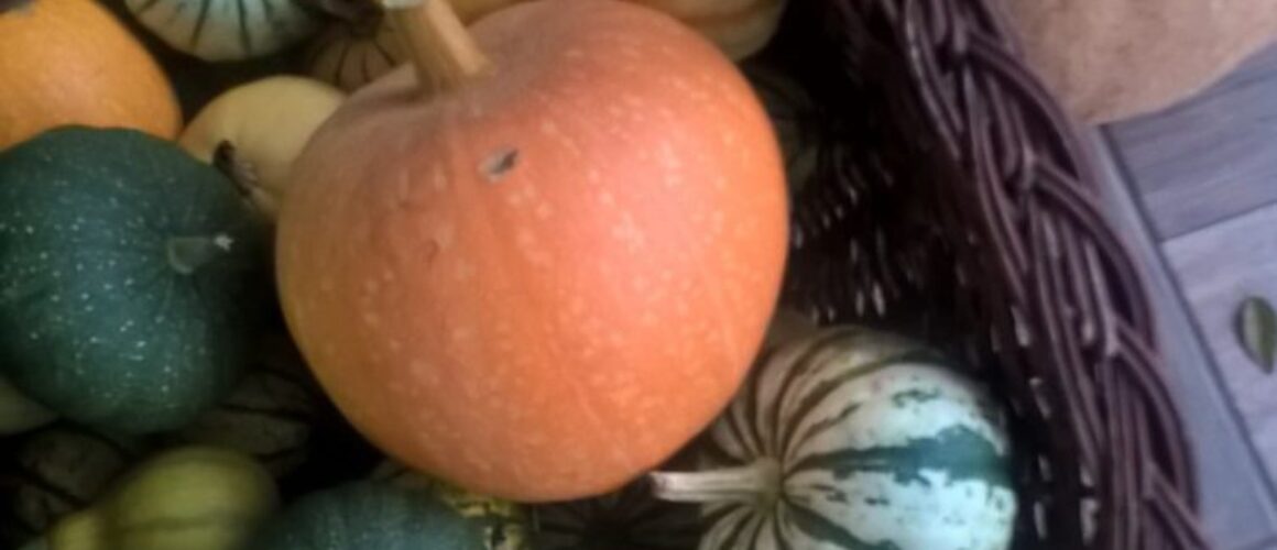 14711620_975099532613141_2105315905568915201_o