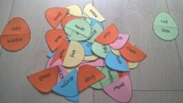 12822015_833852106737885_662439776_n