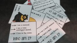 27591079_1410276149095475_439600055_n