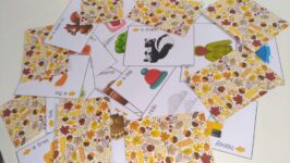 40902268_259156098063302_5252231844610441216_n