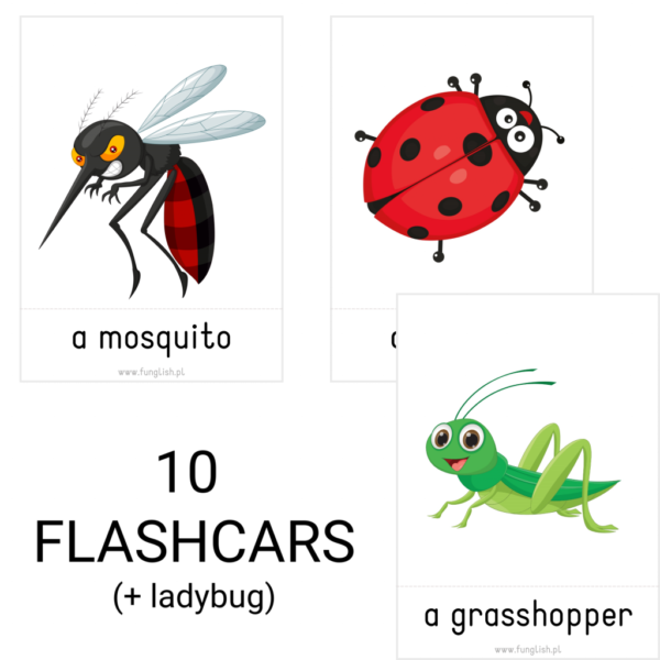 Insects Pack (pdf) - obrazek 2
