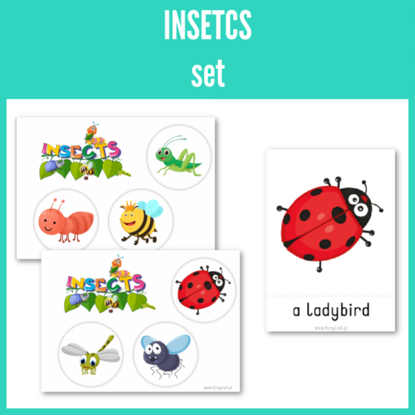 Insects Pack (pdf)