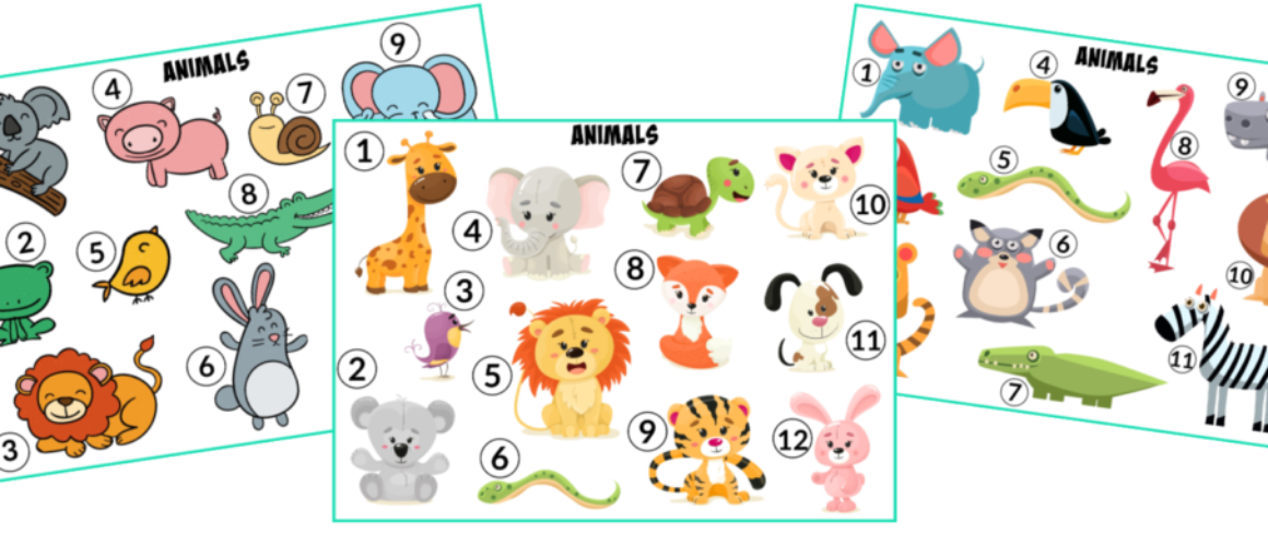 Blank Facebook Page Cover (2)